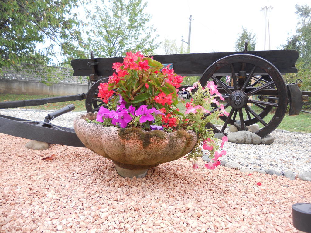 B&B Pervinca Rocca Grimalda ภายนอก รูปภาพ