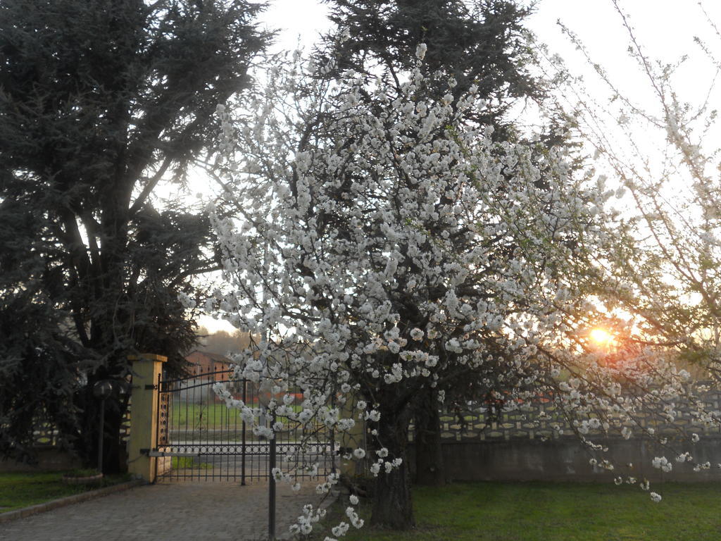 B&B Pervinca Rocca Grimalda ภายนอก รูปภาพ